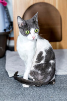 Foster Family 30 : 2023 Dottie